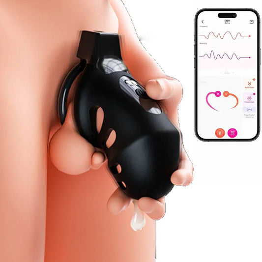 App Control Locking Chastity Cage Device Sex Toy with 8 Vibration Modes