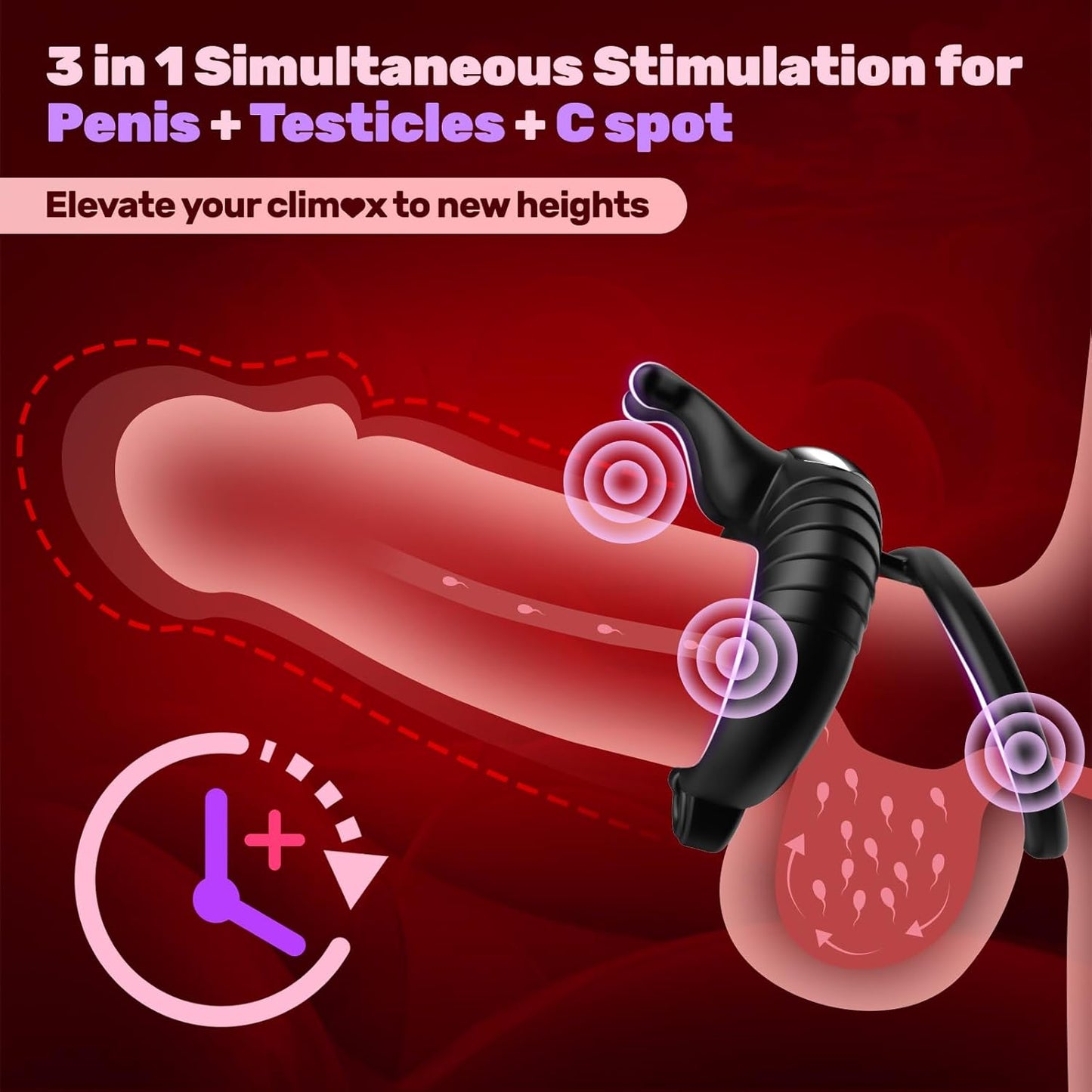 Double Penis Ring Trainer Vibrator Glans Stimulator with 10 Vibrations Modes