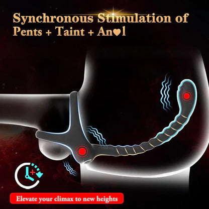 4 in 1 Prostate Massager Cock Ring Taint Stimulator Anal Toys with 10 Vibrations