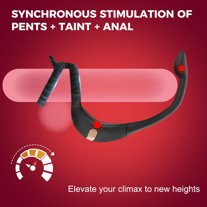 4 IN 1 Penis Ring Anal Plug Prostate Massager with 9 Vibrating Modes