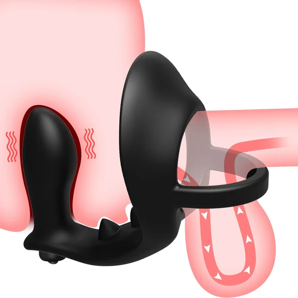2 IN 1 Penis Trainer Vibrator Prostate Massager Cock Ring with 10 Vibration Modes