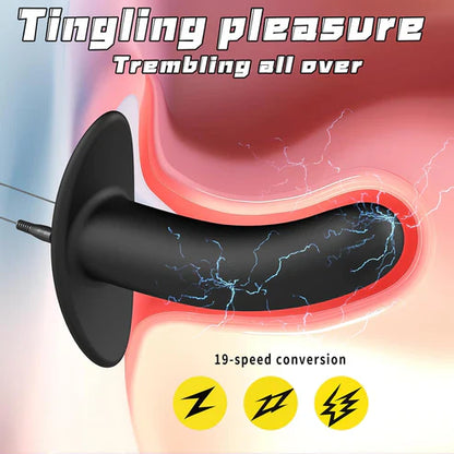 Electro Shock Anal Vibrator Butt Plug Prostate Massage with 9 Modes & 19 Intensities