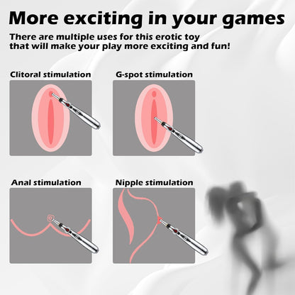 9 Levels Electric Shock Wand Vibrator Clitoris Labia Massager