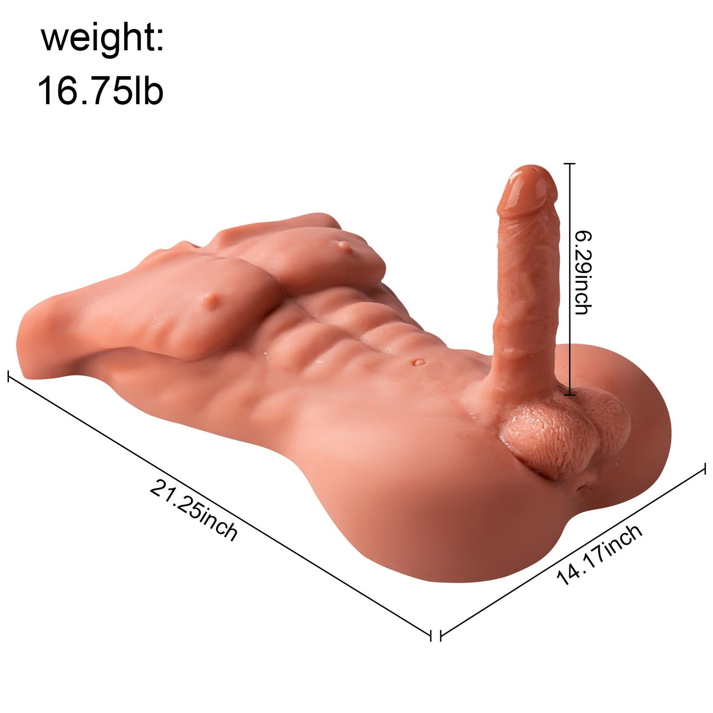 Daniel - 20LB Male Sex Doll Torso with 16cm Penis